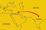 Mathematik: Abenteuer Mathe: Geschichte der Zahlen - Bild 30