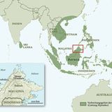 Fleischfressende Pflanzen