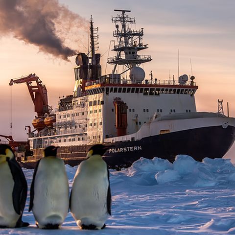 Fotostrecke: Auf dem Forschungsschiff "Polarstern"