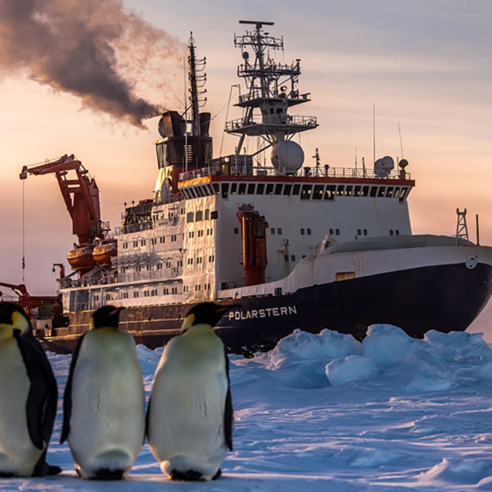 Fotostrecke: Auf dem Forschungsschiff "Polarstern"