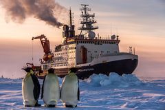 Fotostrecke: Auf dem Forschungsschiff "Polarstern"