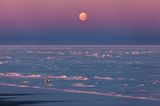 Fotostrecke: Auf dem Forschungsschiff "Polarstern" - Bild 13