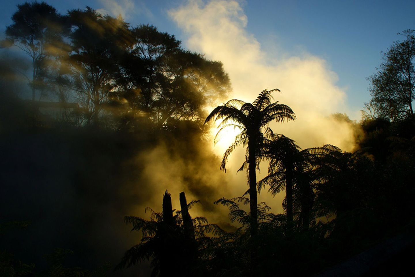 Rotorua