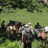 Aktiv- und Geniessereisen