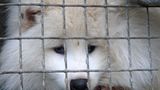 Tierschutz: Mode mit Haut und Haar - Bild 10