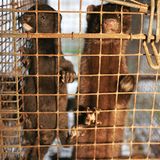 Tierschutz: Mode mit Haut und Haar - Bild 12