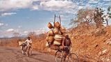 Transport