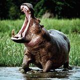 Muskeltraining in Uganda