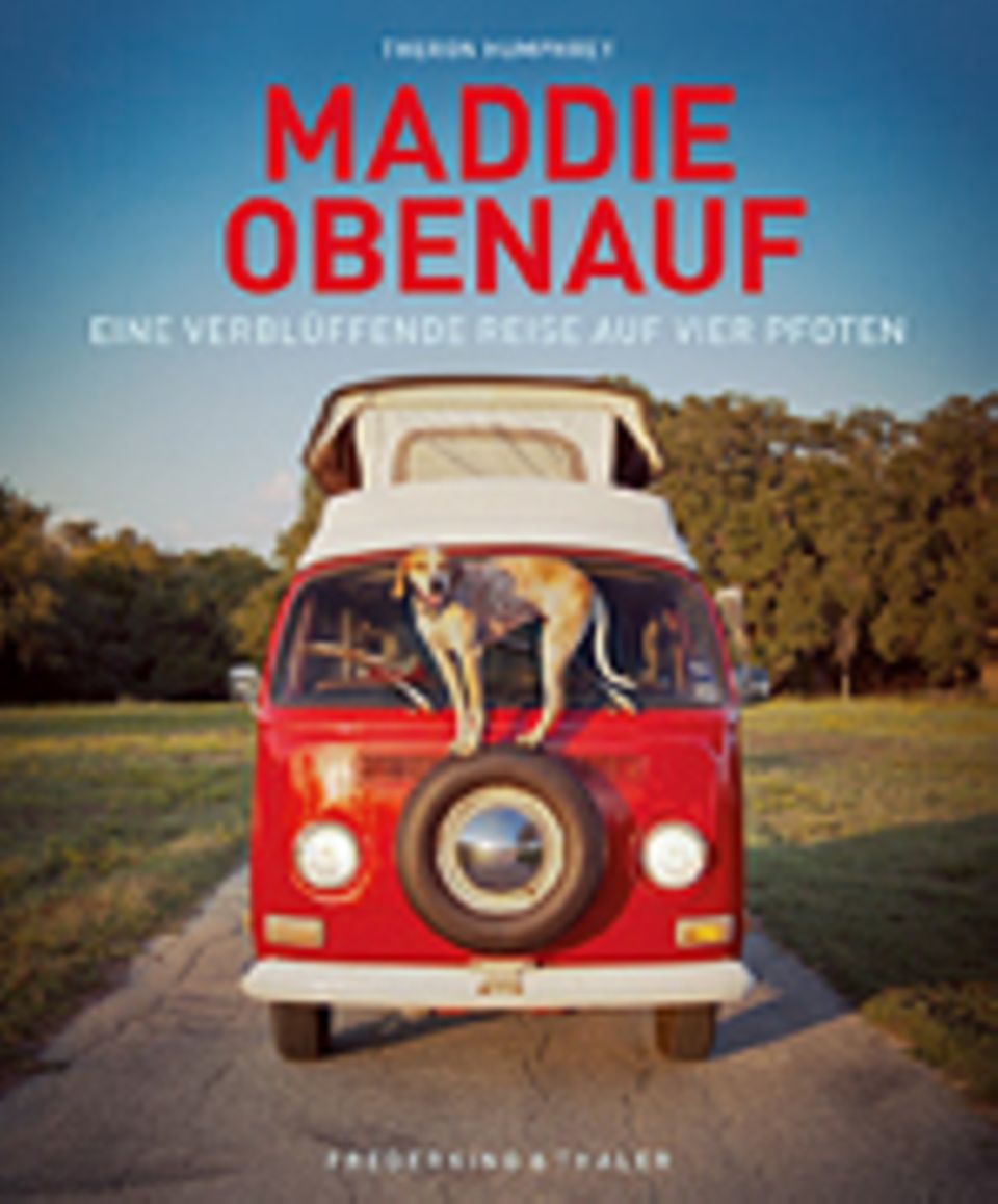 Fotogalerie: Theron Humphrey, Maddie obenauf, Eine verblüffende Reise auf vier Pfoten, 144 Seiten, ca. 120 Abb, 14,99 €, Frederking & Thaler Verlag