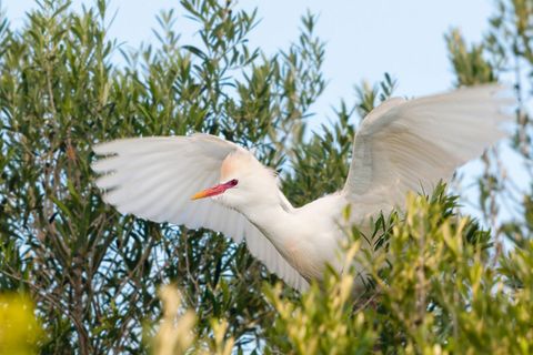 Fotogalerie: Mallorcas wilde Seite