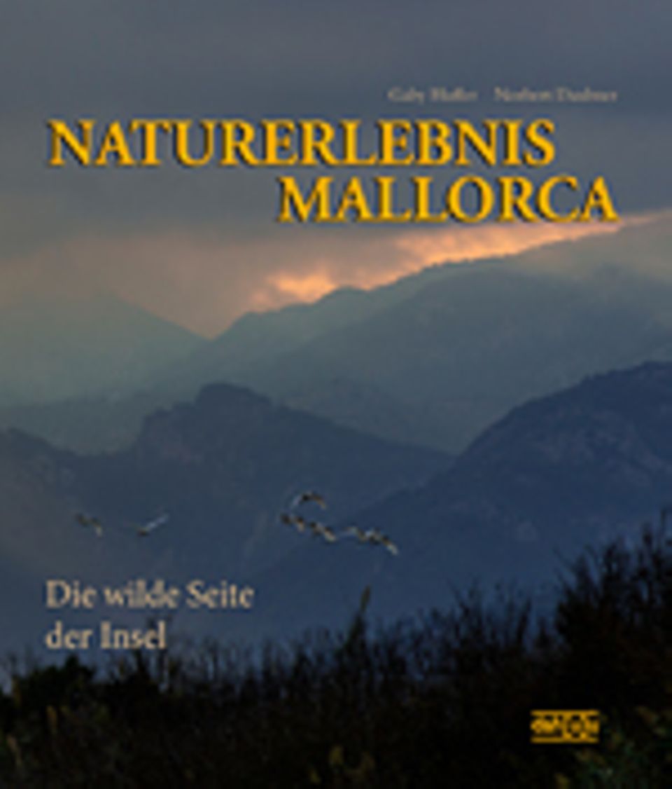 Fotogalerie: Gaby Hufler, Norbert Daubner Naturerlebnis Mallorca Die wilde Seite der Insel dah[u]u-Verlag, Karlsruhe 2014 192 S., über 300 Farbfotos, 34,80 Euro