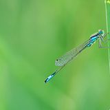 GEO Leserfoto: Die besten Leserfotos: Mai 2014 - Bild 3