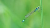 GEO Leserfoto: Die besten Leserfotos: Mai 2014 - Bild 3