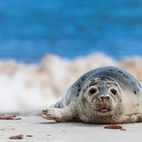 GEO Leserfoto: Die besten Leserfotos: Mai 2014 - Bild 5