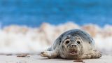 GEO Leserfoto: Die besten Leserfotos: Mai 2014 - Bild 5