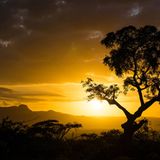 GEO Leserfoto: Die besten Leserfotos: Mai 2014 - Bild 7