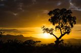 GEO Leserfoto: Die besten Leserfotos: Mai 2014 - Bild 7