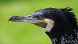 GEO Leserfoto: Die besten Leserfotos: Mai 2014 - Bild 8