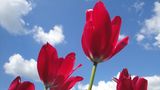 GEO Leserfoto: Die besten Leserfotos: Mai 2014 - Bild 9