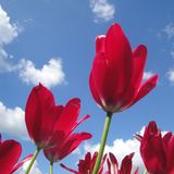 GEO Leserfoto: Die besten Leserfotos: Mai 2014 - Bild 9