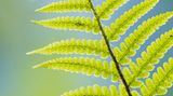 GEO Leserfoto: Die besten Leserfotos: Mai 2014 - Bild 11