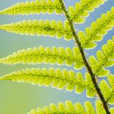 GEO Leserfoto: Die besten Leserfotos: Mai 2014 - Bild 11