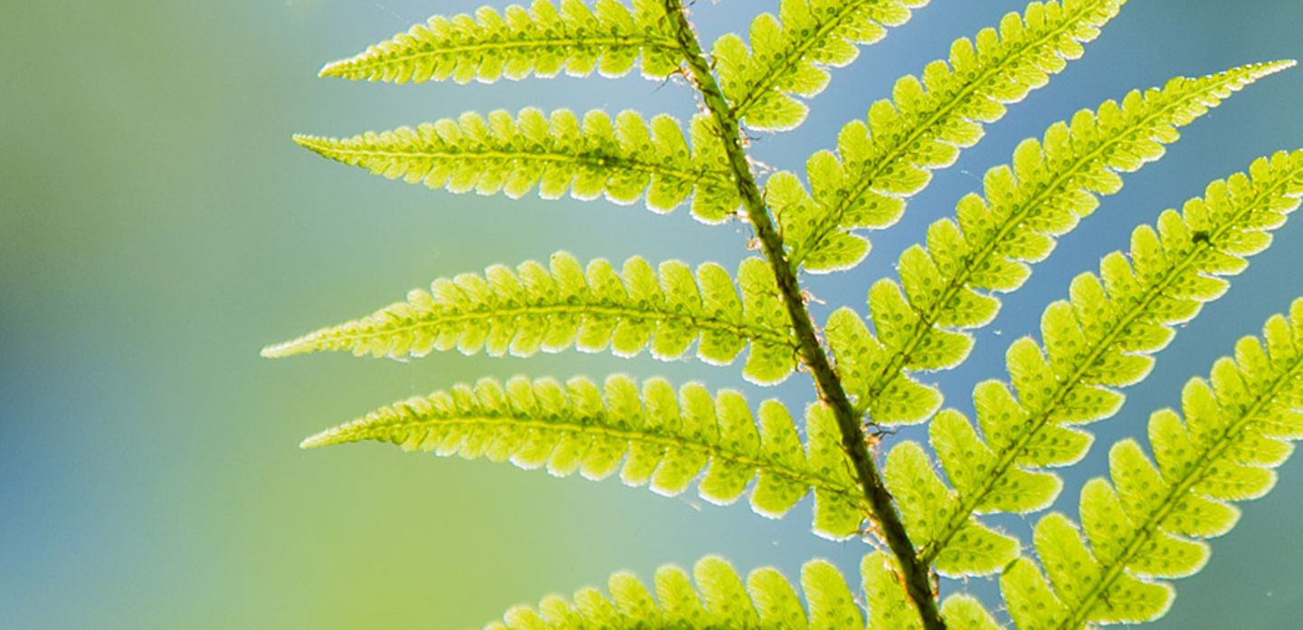 GEO Leserfoto: Die besten Leserfotos: Mai 2014 - Bild 11