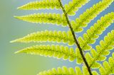 GEO Leserfoto: Die besten Leserfotos: Mai 2014 - Bild 11