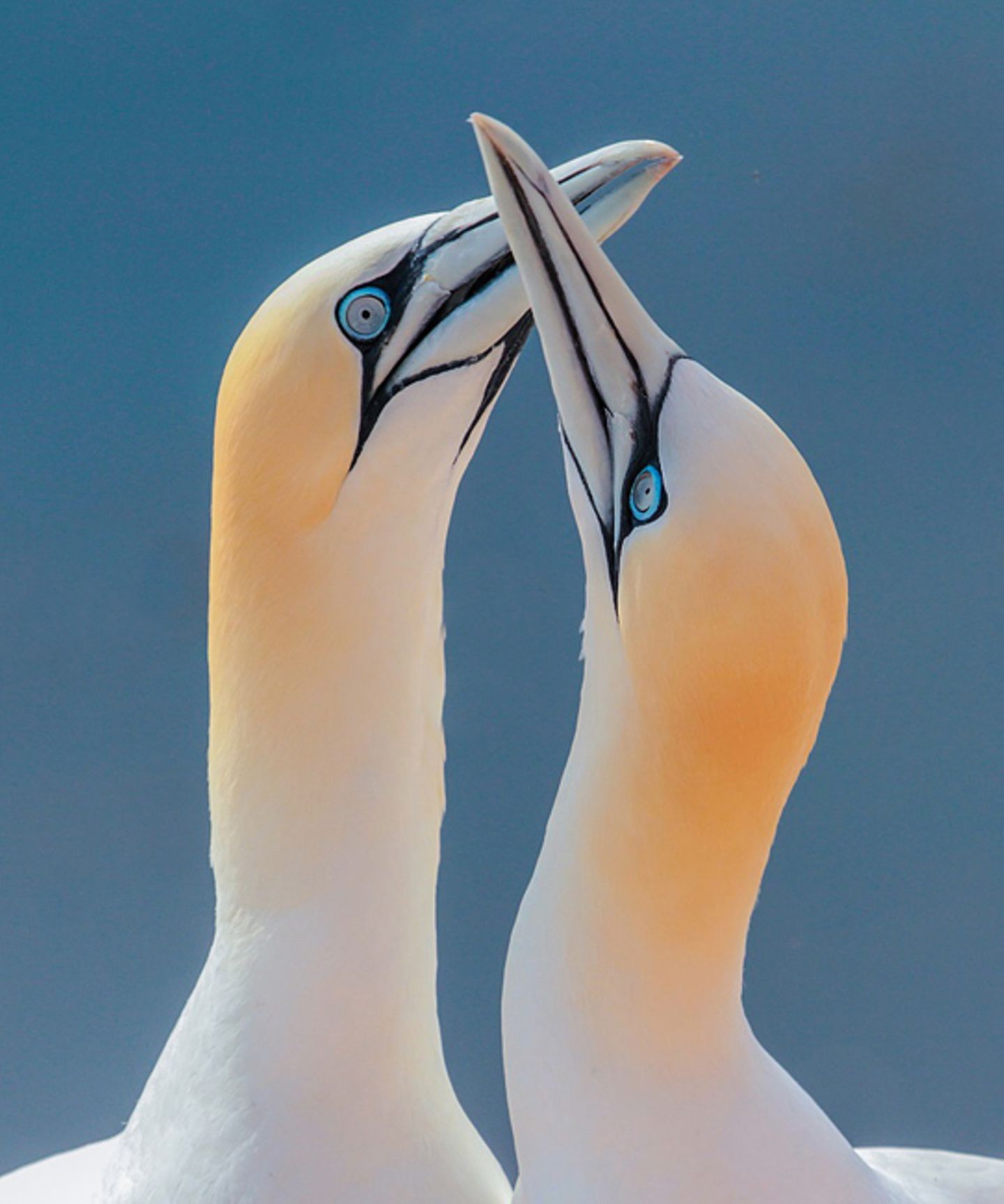 GEO Leserfoto: Die besten Leserfotos: Mai 2014 - Bild 14