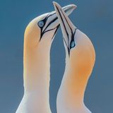 GEO Leserfoto: Die besten Leserfotos: Mai 2014 - Bild 14