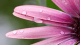 GEO Leserfoto: Die besten Leserfotos: Mai 2014 - Bild 17