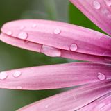 GEO Leserfoto: Die besten Leserfotos: Mai 2014 - Bild 17