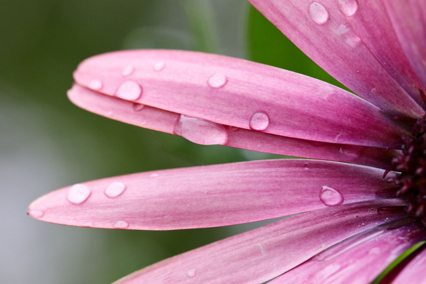 GEO Leserfoto: Die besten Leserfotos: Mai 2014 - Bild 17