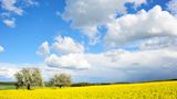 GEO Leserfoto: Die besten Leserfotos: Mai 2014 - Bild 18