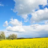 GEO Leserfoto: Die besten Leserfotos: Mai 2014 - Bild 18