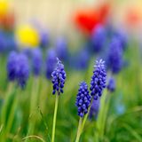 GEO Leserfoto: Die besten Leserfotos: Mai 2014 - Bild 19