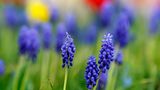 GEO Leserfoto: Die besten Leserfotos: Mai 2014 - Bild 19