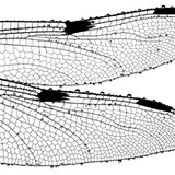 2. Platz Sonderkategorie: im Detail