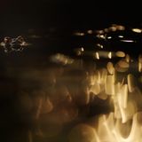 2. Platz andere Tiere