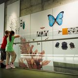 Im Darwin Centre die Evolution erleben