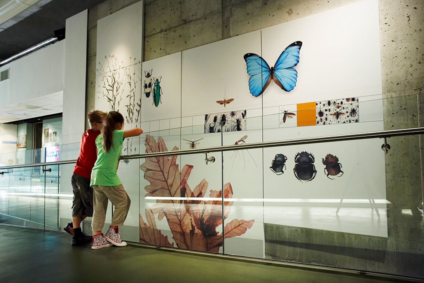 Im Darwin Centre die Evolution erleben