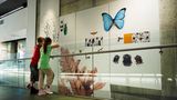 Im Darwin Centre die Evolution erleben
