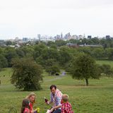 Im Grünen picknicken