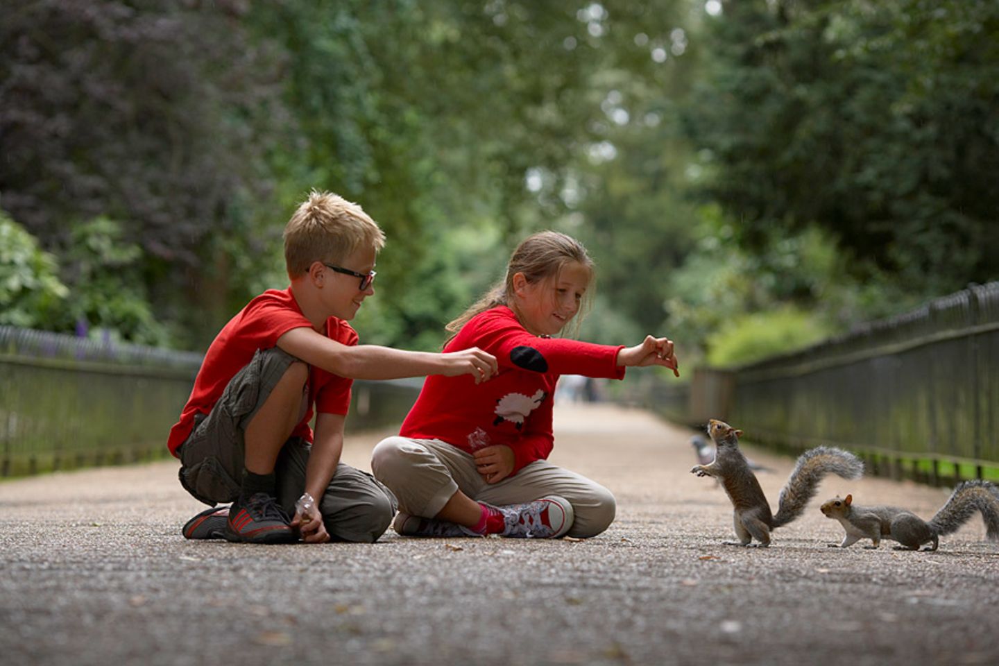 Im Park Eichhörnchen füttern