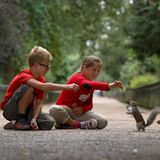 Im Park Eichhörnchen füttern