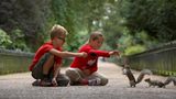 Im Park Eichhörnchen füttern