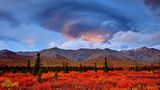 Alaska