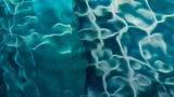 Aqua Globalis