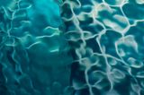 Aqua Globalis