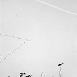 Romantische Natur-Hieroglyphen